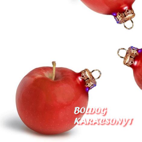 alms1_kinyomtatni.jpg